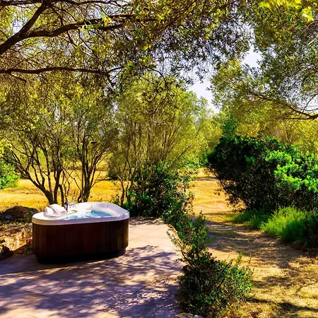 Holiday home Stazzo Istana Jacuzzi Barbecue E Mare A Piedi Porto Istana